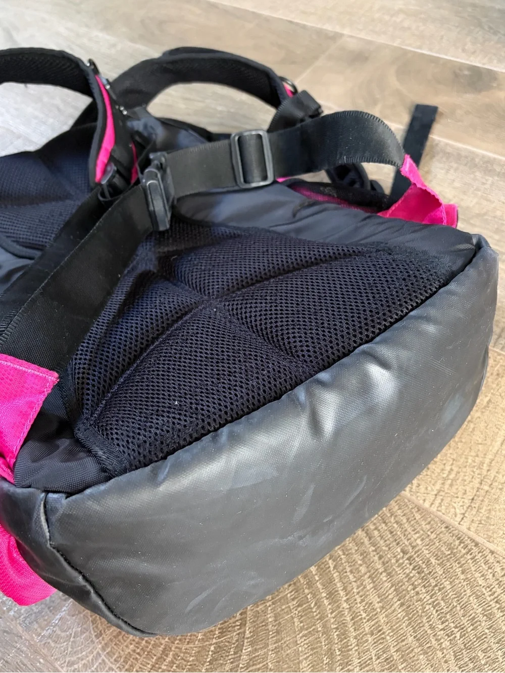 Speedo Teamster 25L backpack